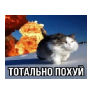 🥱 emoji жески бро Telegram sticker 14 of 27