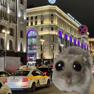 🌟 emoji moscow homyak @khadizzhaaa Telegram sticker 9 of 25
