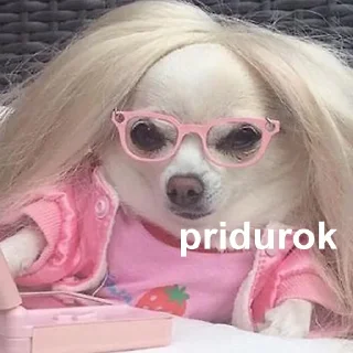 😐 emoji це вже всьо Telegram sticker 23 of 52