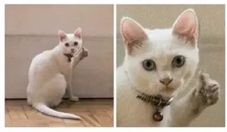 🙂 emoji бан від марева Telegram sticker 15 of 119