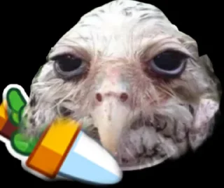 🦉 emoji Солях Telegram sticker 11 of 21