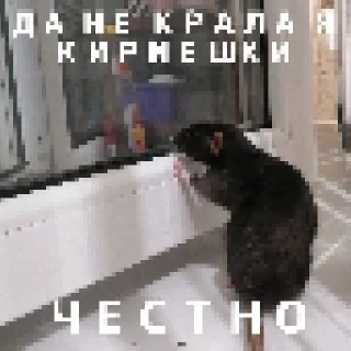 😭 emoji Уу вачесейн Telegram sticker 21 of 40