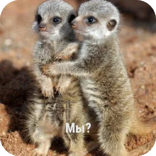 ❤ emoji Кира хорошая)) @DADADA_BA127 Telegram sticker 8 of 80