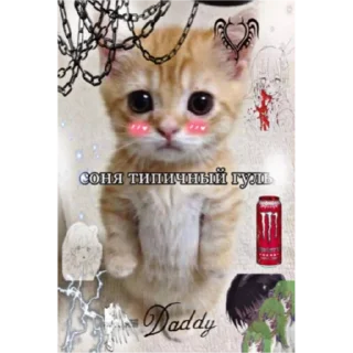 🚶‍♀️ emoji соня самая лучшая Telegram sticker 19 of 20