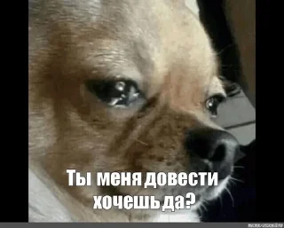 🥲 emoji Мем Telegram sticker 17 of 120