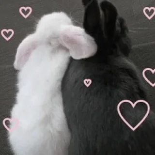 💌 emoji rrappar | @mes666caline ♡ Telegram sticker 23 of 34