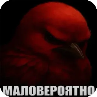 Sticker from Скворечник @fStikBot