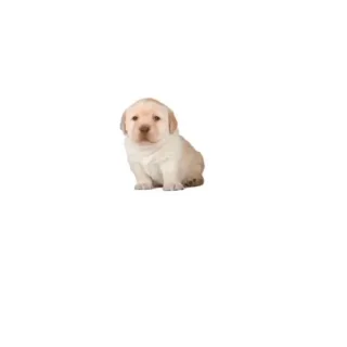 Sticker from Parkers GIFs