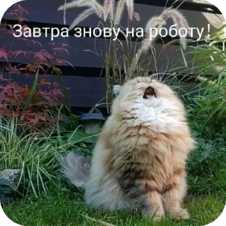 🫥 emoji Хаха Telegram sticker 12 of 55