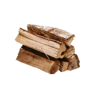 Sticker from Apparent Silkworm