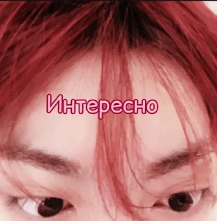 🐥 emoji Мемы с Ся (⁠•⁠‿⁠•⁠) Telegram sticker 15 of 26