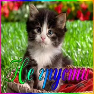 ☺ emoji 2пакмя Telegram sticker 12 of 31