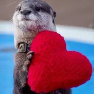 ❤️ emoji Cursed Otters Telegram sticker 21 of 34