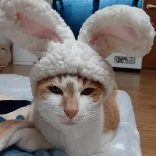 😑 emoji потерянные дети Telegram sticker 17 of 60