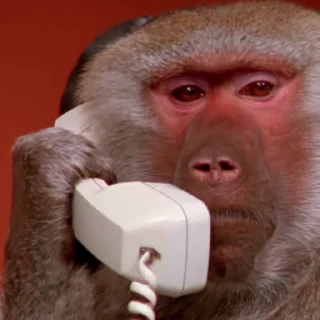 🐒 emoji МемПак 2 @FishStriba Telegram sticker 10 of 50