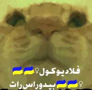 Sticker from Арабы жоско донбили бамбас 228