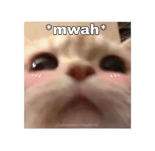 😳 emoji сиськи маши Telegram sticker 10 of 14