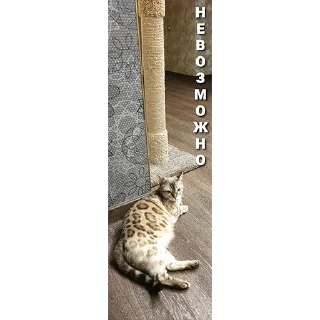 🙅‍♂️ emoji Хуананзион в моём сердечке❤️ Telegram sticker 6 of 105