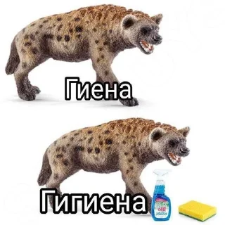 Sticker from GOOD AFTERNOON PLEASE
