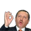 👌 emoji Mr. Erdogan Telegram sticker 14 of 15