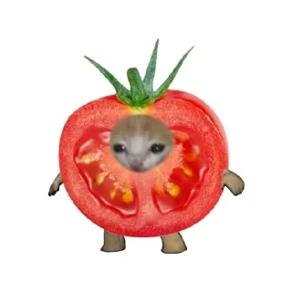 👐 emoji by: Шибздики (aisha supermacy) Telegram sticker 18 of 102