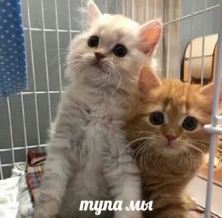 Sticker from это будем мы!