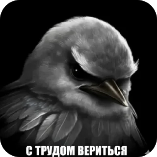 👍 emoji Не-уверенн Telegram sticker 19 of 44