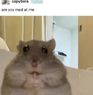 🥺 emoji ну я наверное не знаю Telegram sticker 21 of 51