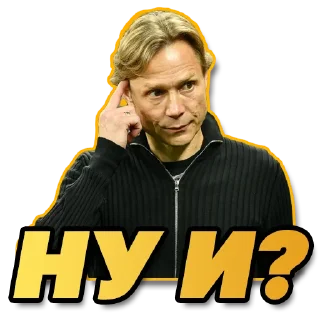 🤔 emoji МАТЧ ПРЕМЬЕР Telegram sticker 15 of 38