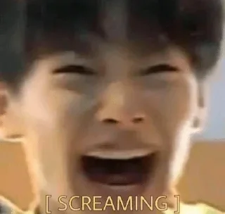 🤬 emoji SKZ memes Telegram sticker 9 of 43