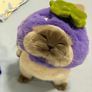 😙 emoji Silly cat Telegram sticker 8 of 10