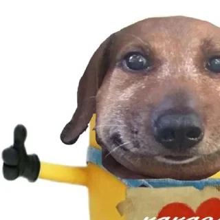 👍 emoji деловой колбас😊 Telegram sticker 19 of 36