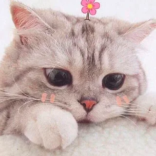 😒 emoji Specially for Sinful ^_^ Telegram sticker 16 of 26