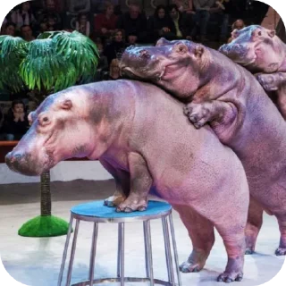 ❤ emoji Hippo Telegram sticker 5 of 116