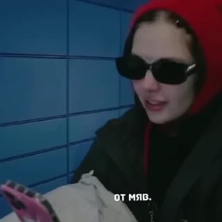 Sticker from Дашуня от мяв @helpmyu