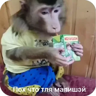 🌟 emoji Monkey by от@Brad_Blog Telegram sticker 16 of 100