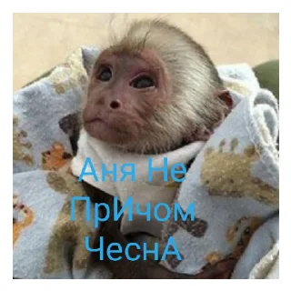 😄 emoji Стикеры от @nezuko_tyannN пон. Telegram sticker 10 of 21