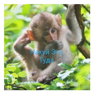 😄 emoji Стикеры от @nezuko_tyannN пон. Telegram sticker 6 of 21