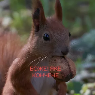 Sticker from Якась жопа