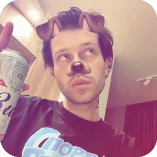 🐶 emoji Пикми Telegram sticker 21 of 44
