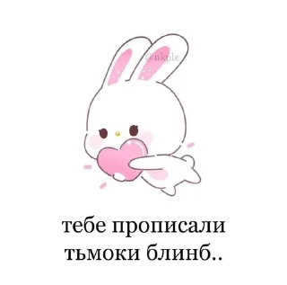 😽 emoji CurchDinsPlaid Telegram sticker 9 of 28