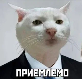 👍 emoji Херня Telegram sticker 7 of 83