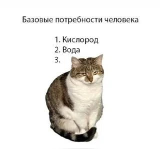 🌟 emoji А я на морі :: @Damkca @fStikBot Telegram sticker 20 of 50