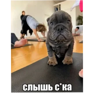 😡 emoji Спасибо Господь что я такой ах Telegram sticker 20 of 85