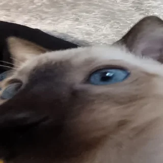 😏 emoji нарКотики Telegram sticker 20 of 21