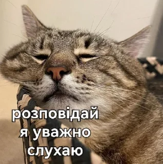 💤 emoji Loveyoustepan Telegram sticker 1 of 45