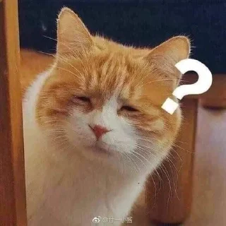❔ emoji Котикииии Telegram sticker 11 of 23