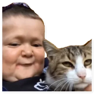 🐱 emoji ХАСБИК Telegram sticker 20 of 28