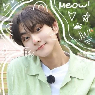 🌟 emoji Чонвони для рбс Telegram sticker 20 of 43