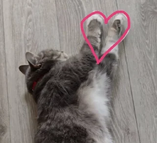 Sticker from Буся : @libationer